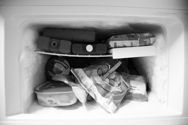 mrazák v lednici